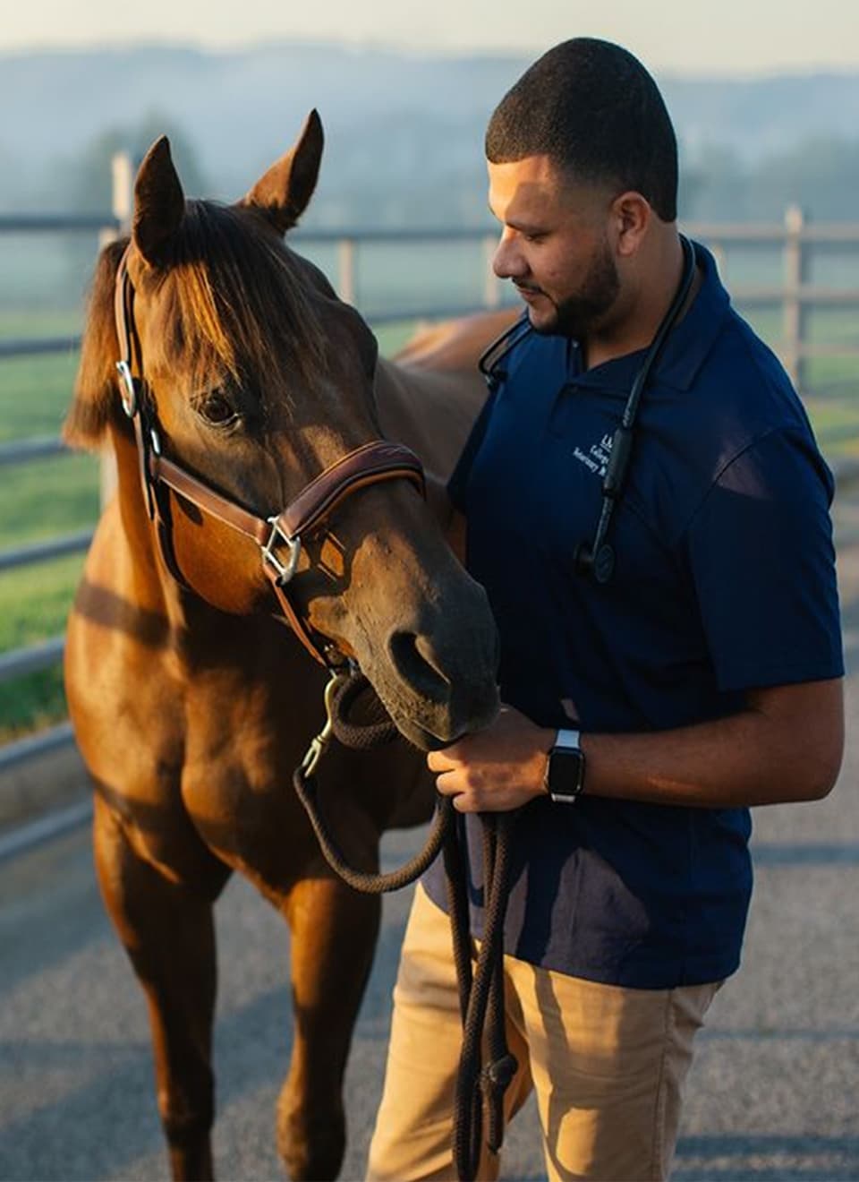 student working with horse