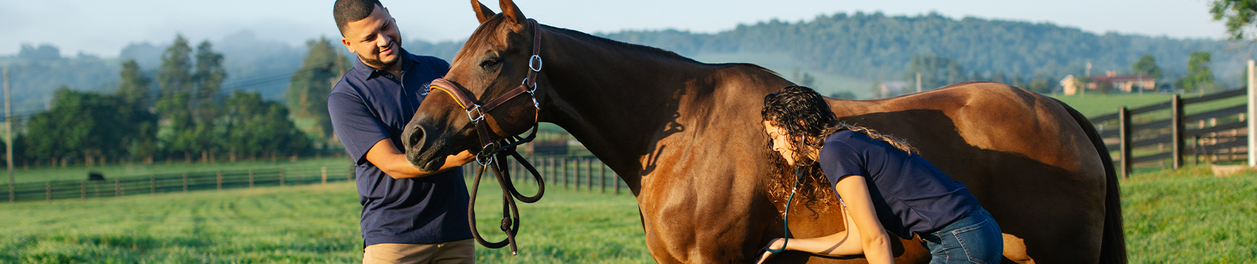 Vet students with horse