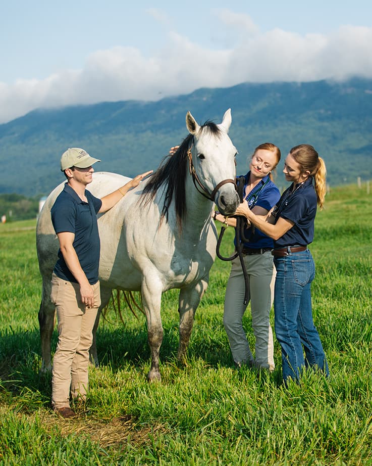 3 students with a horse