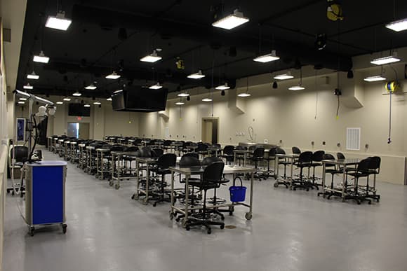 a wide angle of the anatomy lab