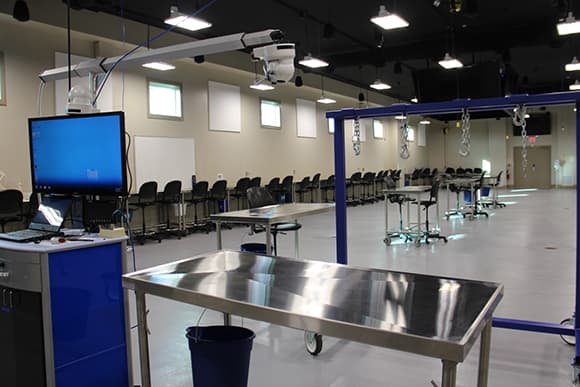 angle from the back of the veterinary skills center lab