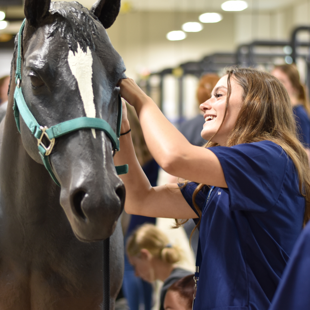 veterinary health industry