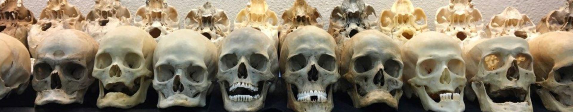 impact image of skulls