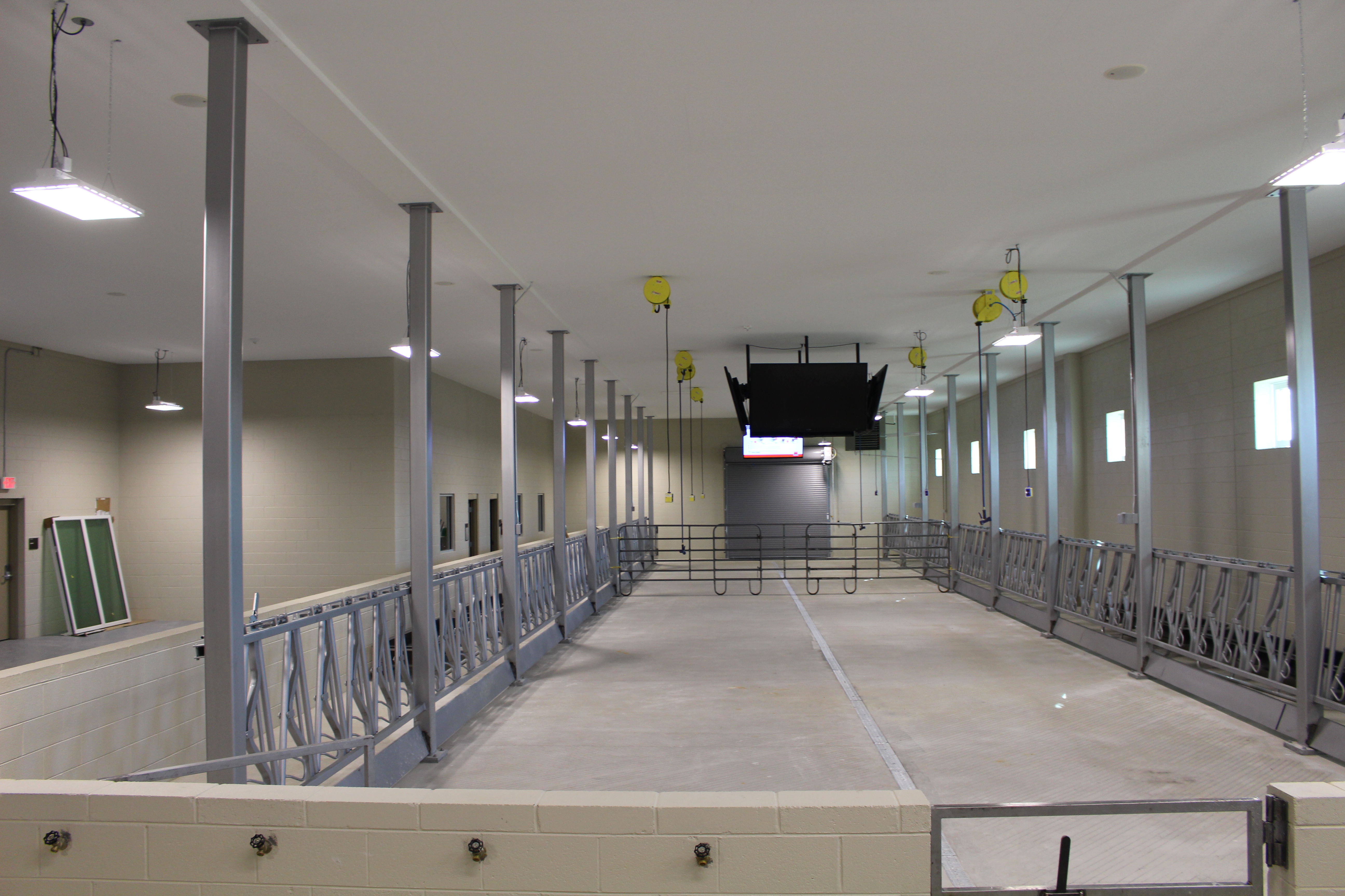 Bovine Teaching Center Interior
