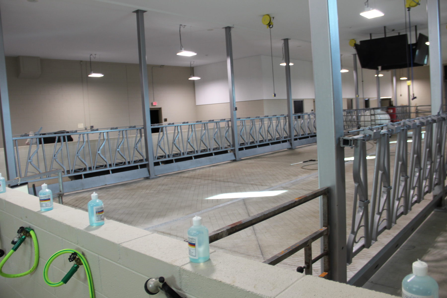 Bovine Teaching Center Interior