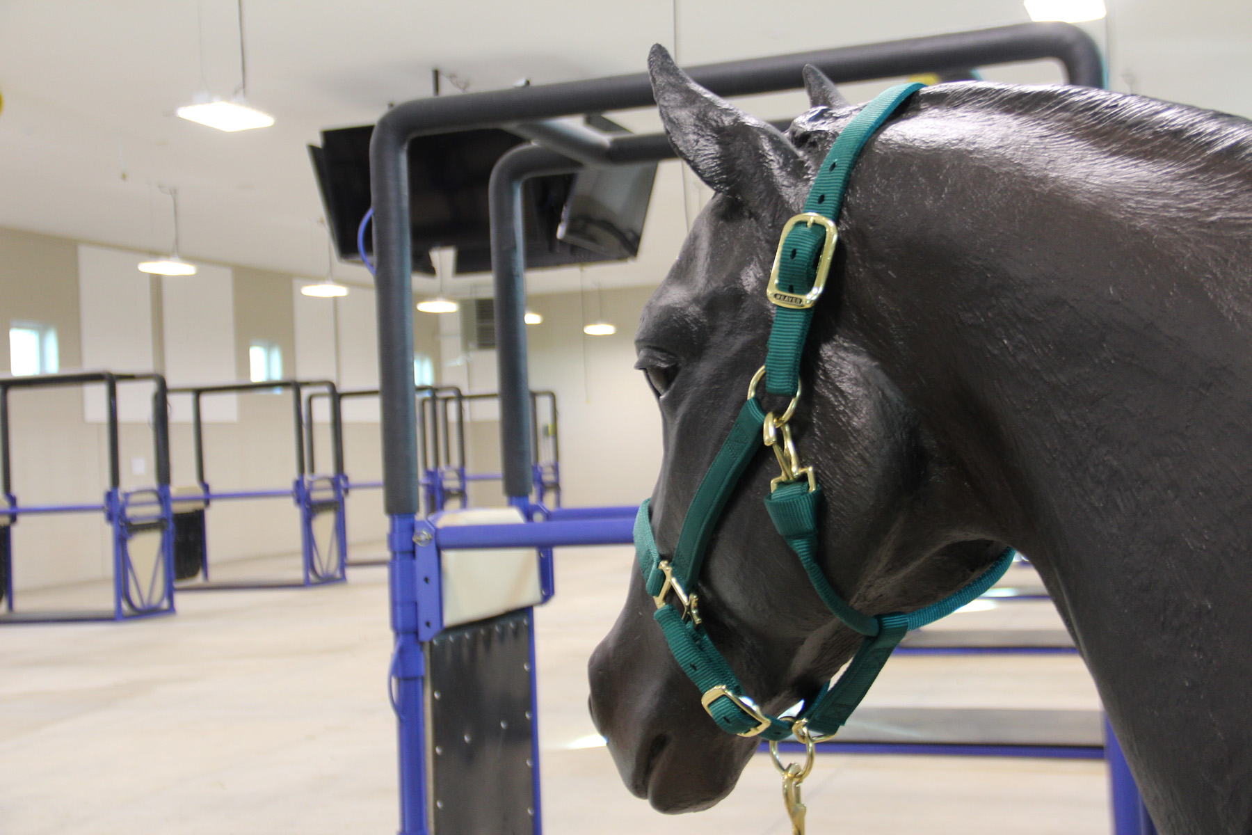 Equine Teaching Center