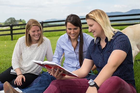 woment studying outside