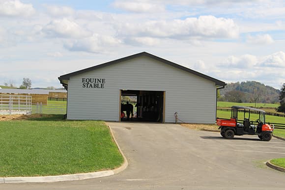 Equine Stable