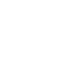 network icon