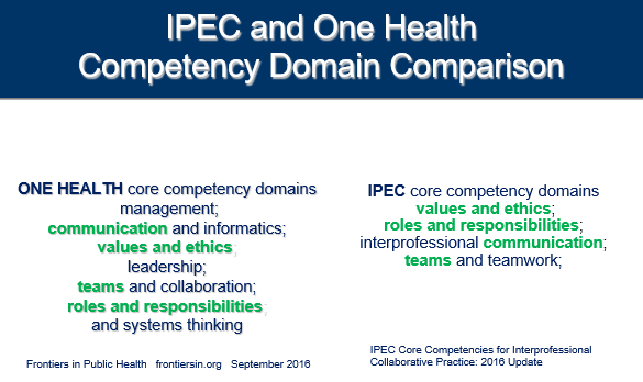 OneHealth-IPEC-Graphic.png