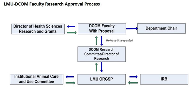 Faculty research approval process