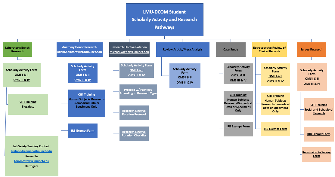 Research Pathway