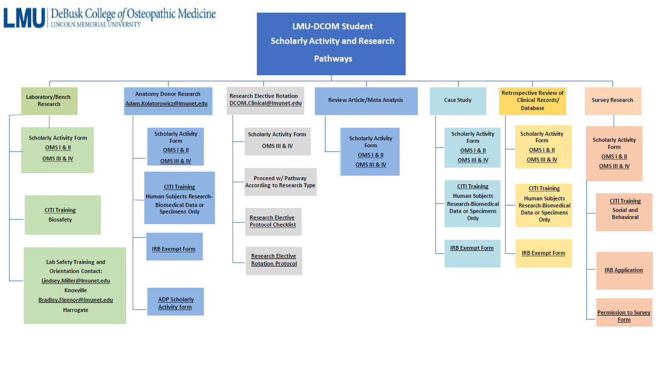 Student Scholarly Activity and Research Pathways Graphic