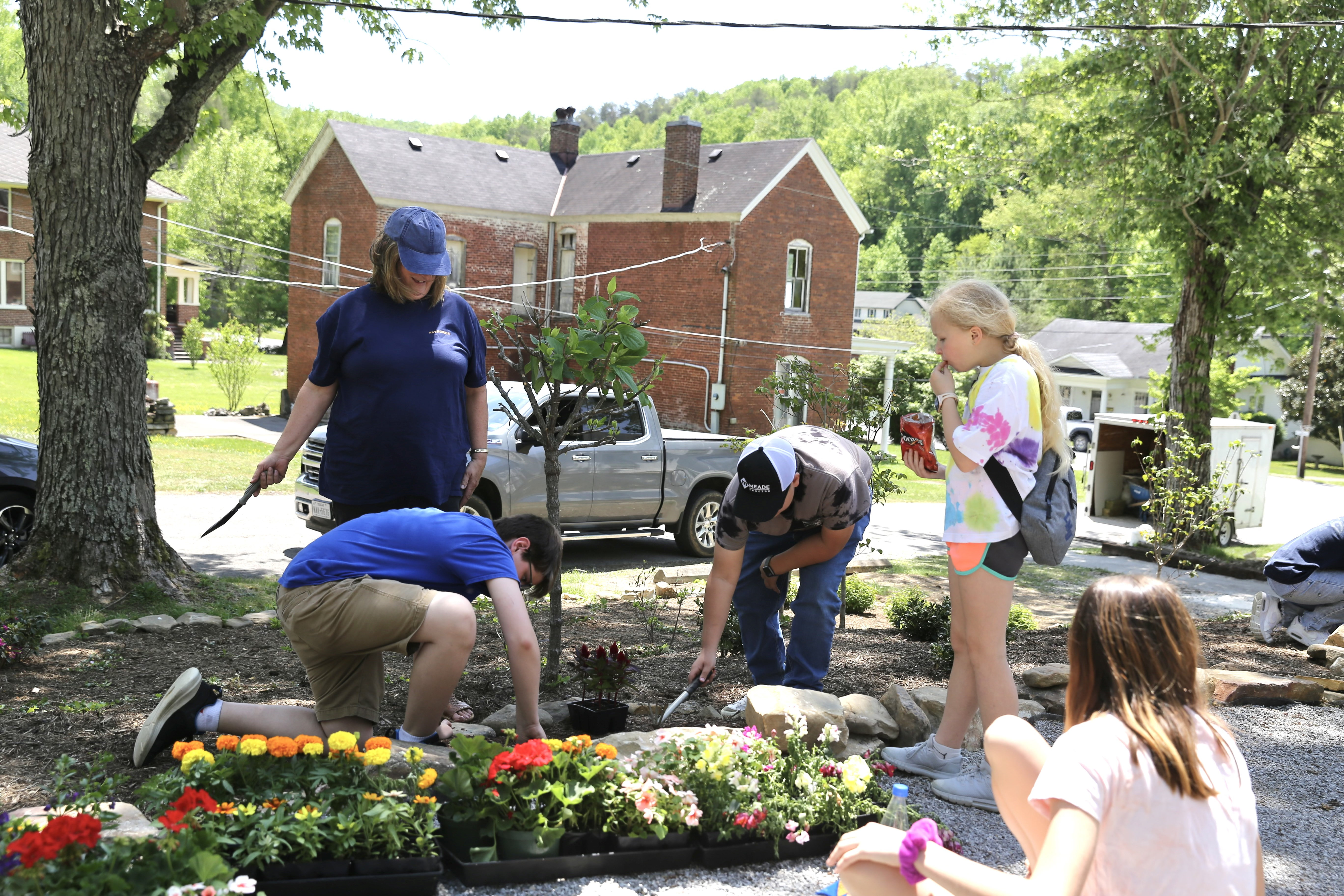 planting flowers