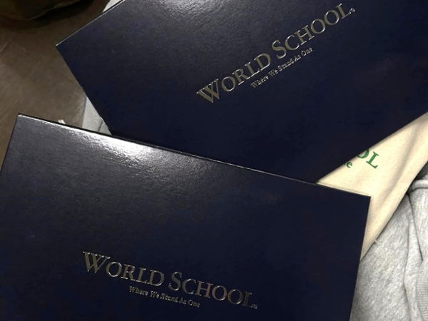 World School diploma covers
