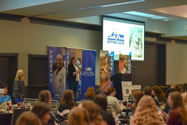 the stage at APVMA conference
