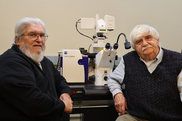 Kunigelis and Copeland