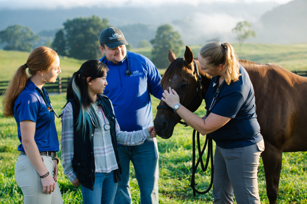 3 students, a faculty member, and a horse in front of mountains