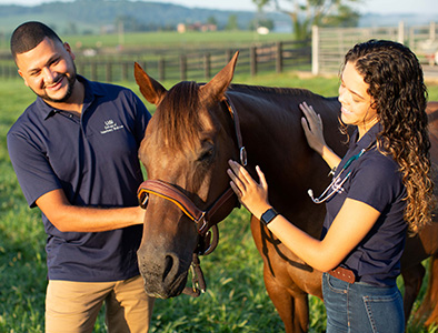 students with horses