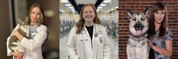 Gabriella Lopez, Catherine Arnold, Nevada Gehman