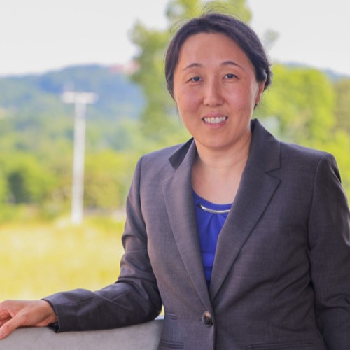 Dr. Qi Wang