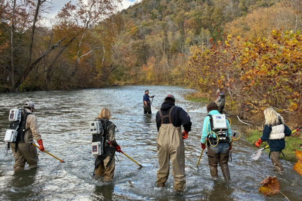 Conservation Bio Students
