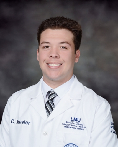 connor mesler