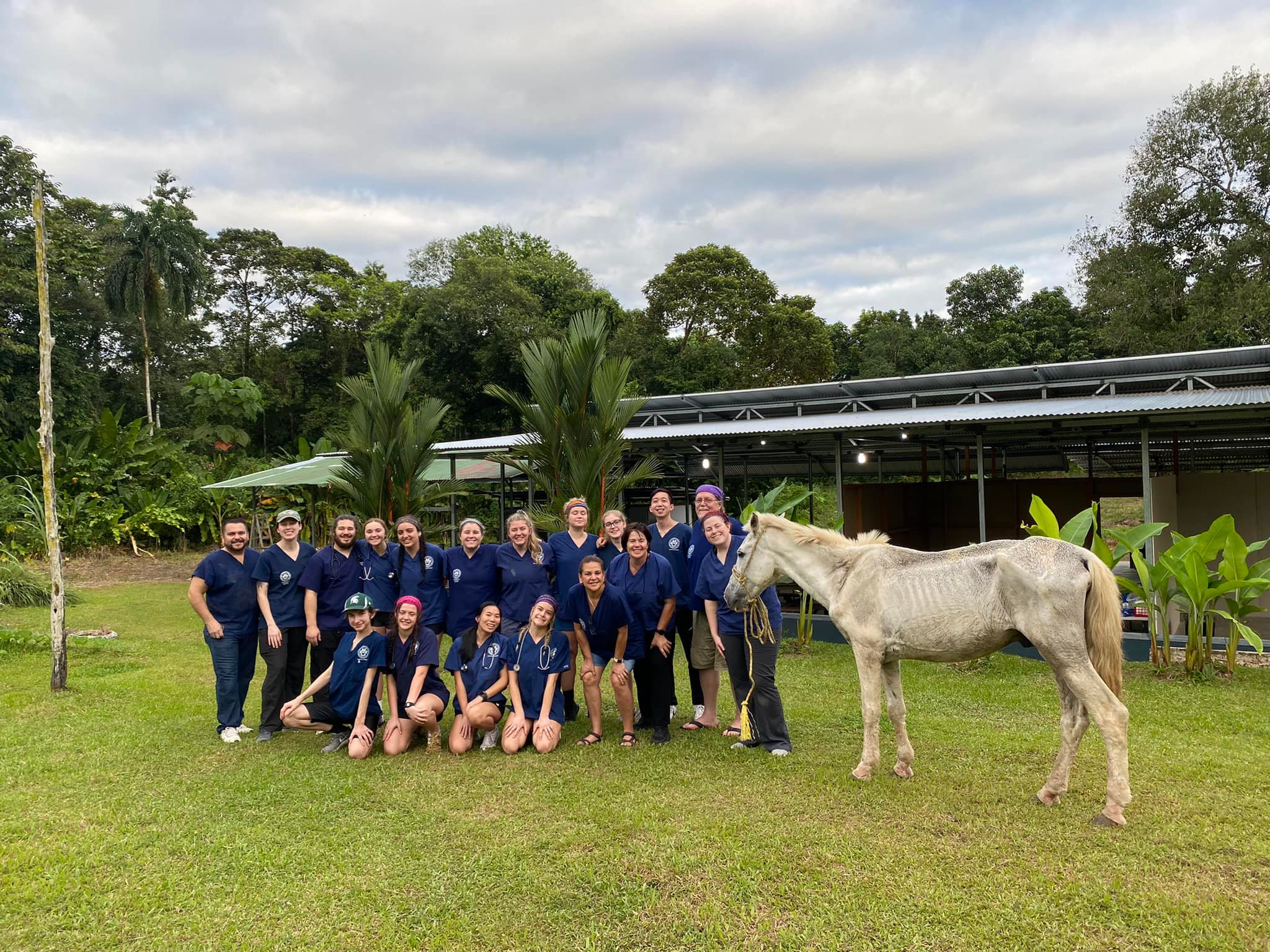 LMU-CVM students on farm with horse