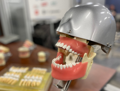 dental model 