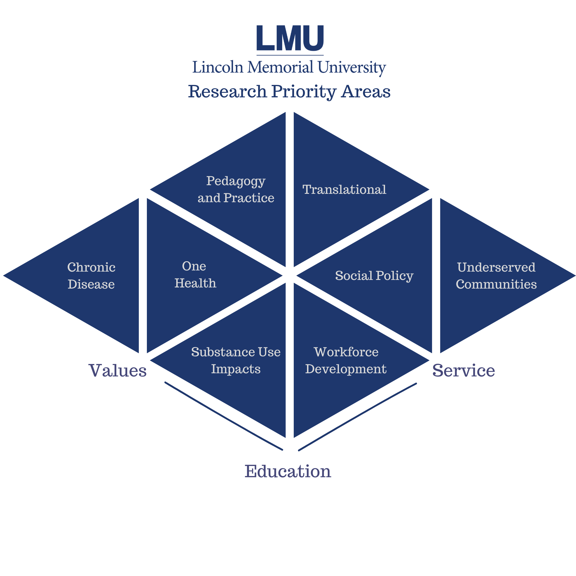 LMU Research Priority Areas:Underserved Communities, One Health, Translational Research, Workforce Development, Social Policy, Pedagogy and Professional Practice, Substance Use Impacts, and Chronic Disease. These are driven by LMU's commitment to values, education, and service.