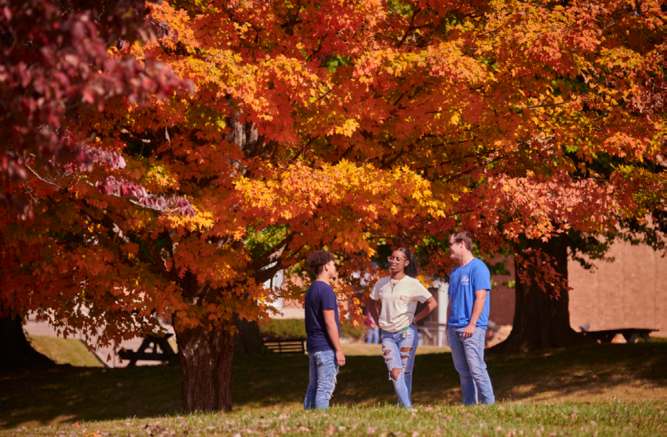 Three students standing near a tree talking.