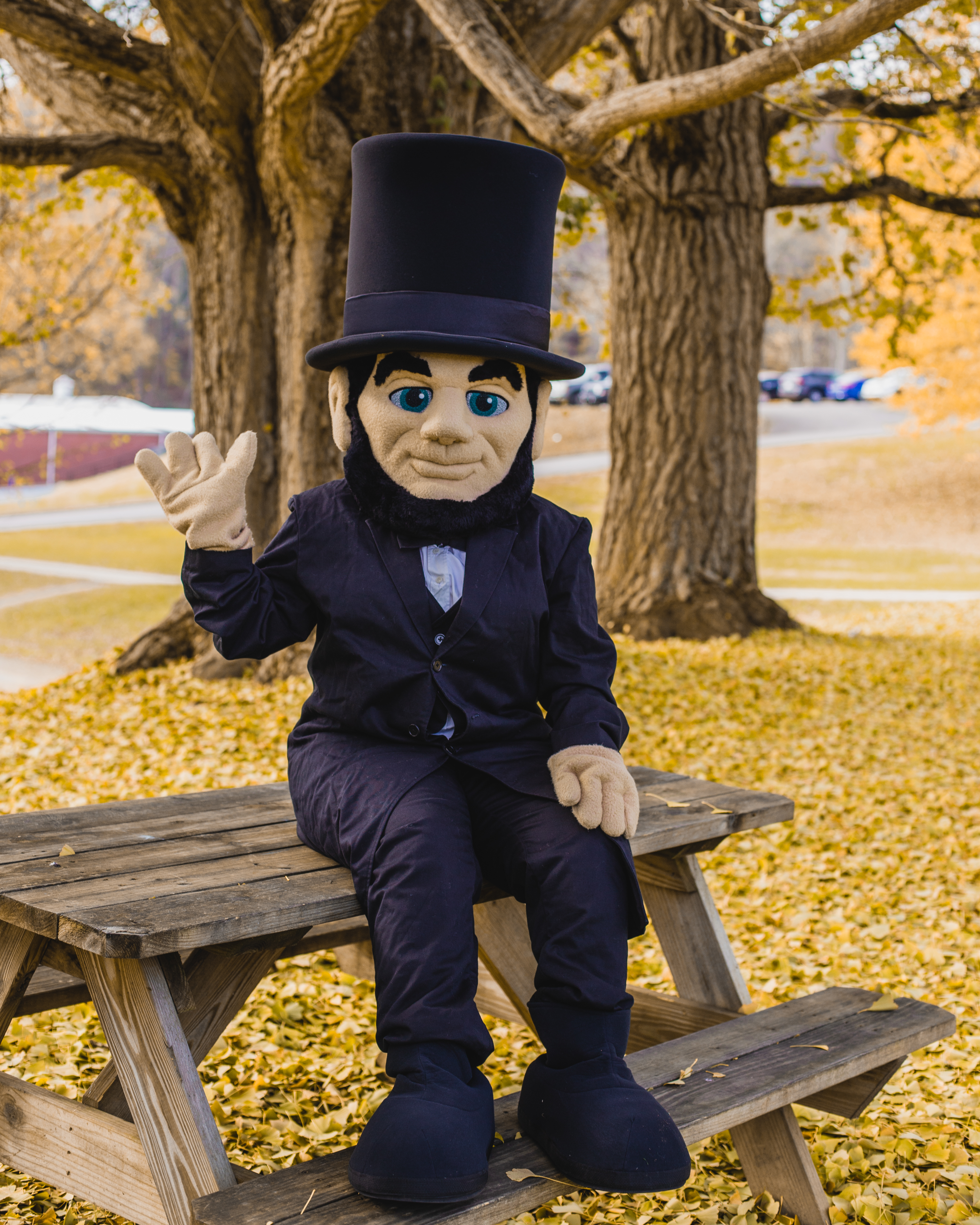 Abe trees