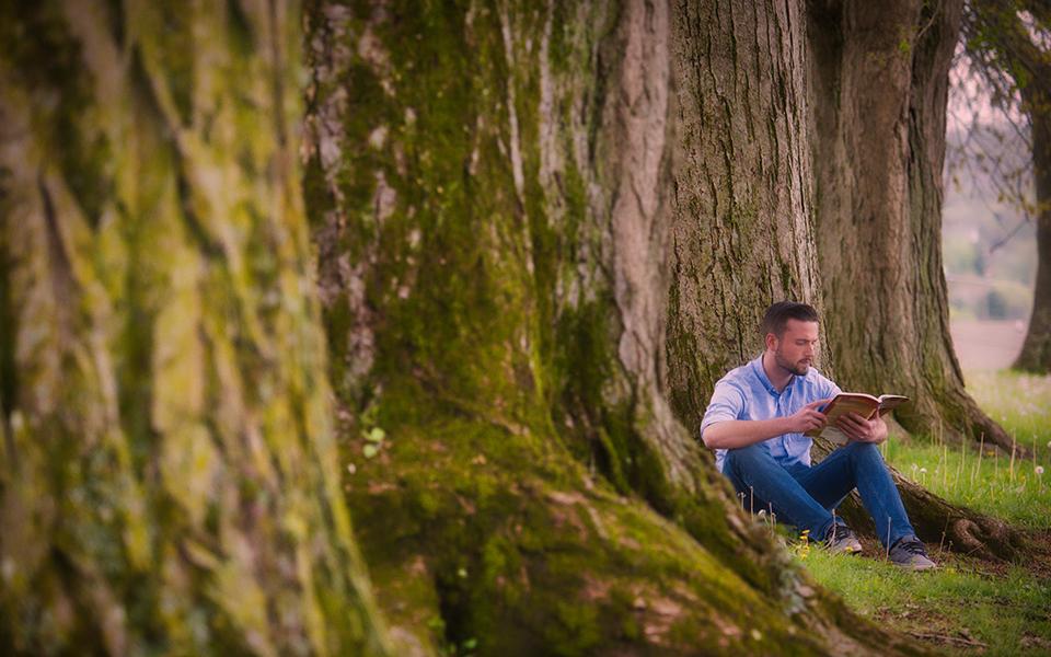 person reading book by large tree